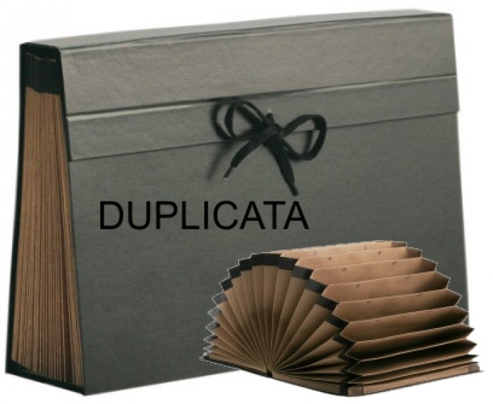 Pasta Sanfona Papelao 0701.p.0005 Dupl 31 Div Dello Media