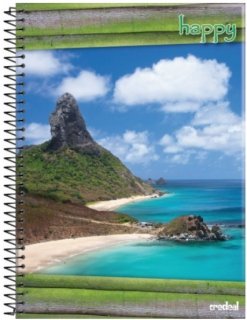Caderno Flex 96 Fls Esp. Peq. 1/4 Pauta Branca 524323
