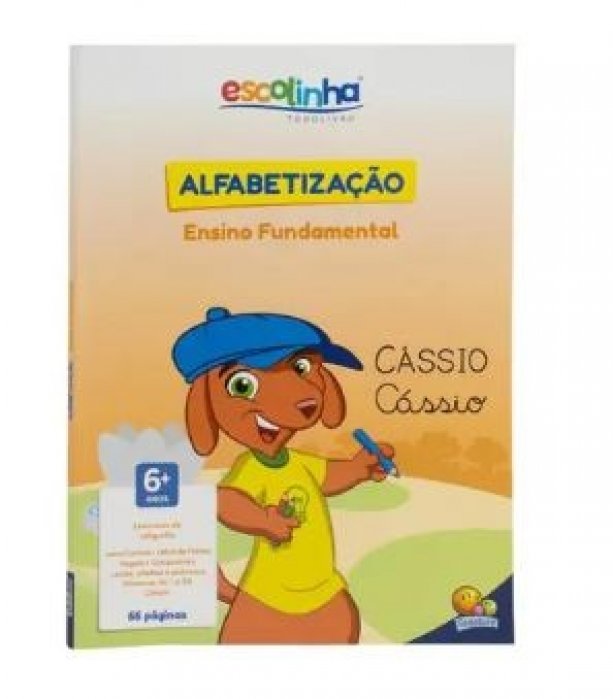 Livro ** Pedagogico Alfabetizacao Ensino Fundamental Todo Livro 27X20  66P 1096907